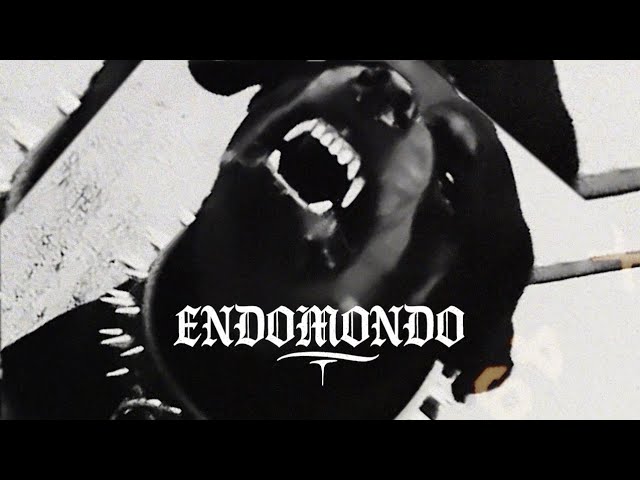 Watch VITA VELOX - Endomondo on YouTube Watch VITA VELOX - Endomondo on YouTube
