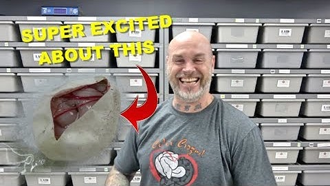 We Just Hit An OD Enchi Lesser Fire Ghost Clown !!! Egg Cutting