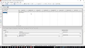 How to add delete copy paste Activities and WBS in Primavera P6