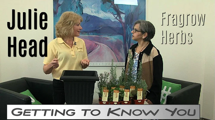 Getting to Know Julie Head