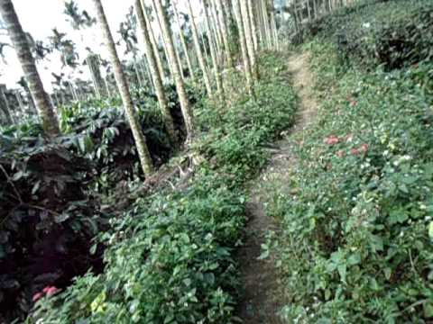往華山吊橋的必經之路