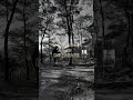 solo escuchate a ti lo demas no importa