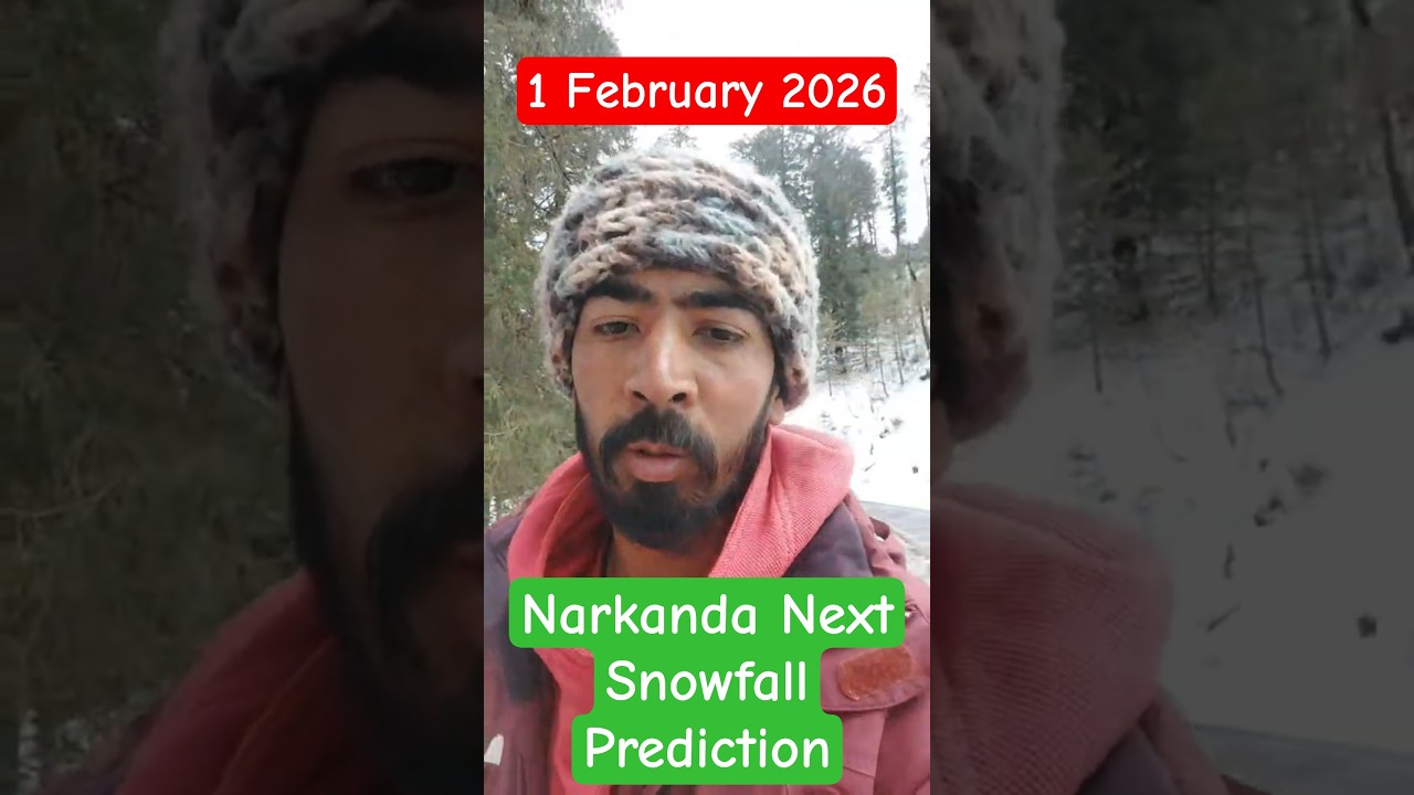 Narkanda Next Snowfall Prediction Narkanda Latest Updates Narkanda Snowfall Today #shortsfeed #short