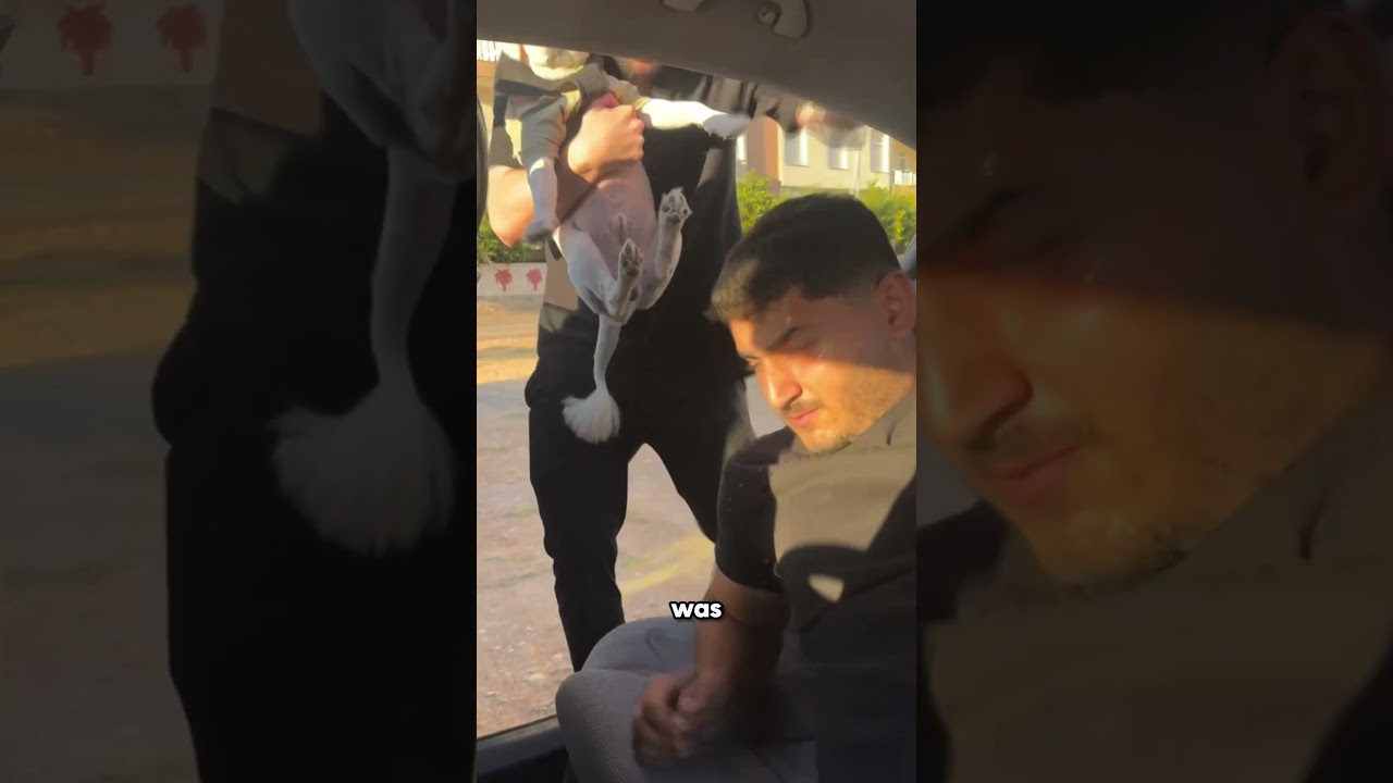 Какой плохой розыгрыш...😭🥸