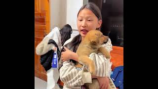 This little puppy was always bullied, but when it grew up... #pets #cute #funny #shorts