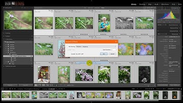 IPHE011 - How to automatically rename photos in Lightroom