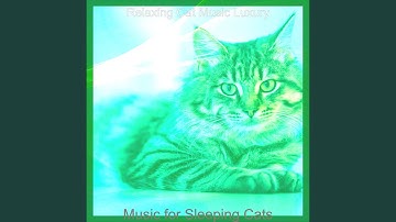 Opulent Ambience for Relaxing Cats