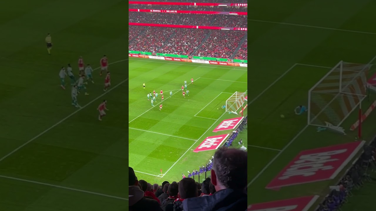 SL Benfica X Rio Ave