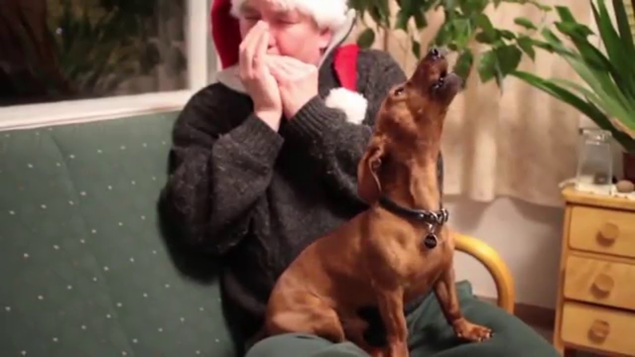 Penan joululaulu: Jouluyö - juhlayö