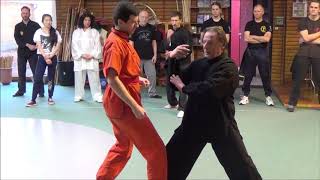 Grootmeester Walter Toch Met Jibengong Chen Taiji En Gebruik Ervan