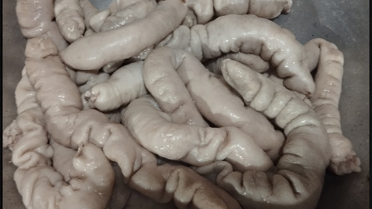 Cách làm sạch ruột heo, không cần chanh hoặc giấm, vừa nhanh vừa sạch.