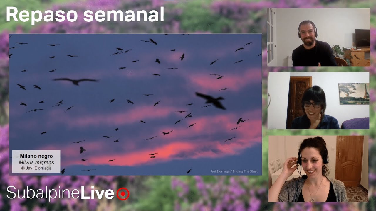 SubalpineLive P19T2 (22/02/23): Conquista de Groenlandia y biogeografía + Rozío Sus pajareo Aragón