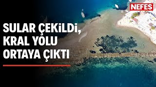 Gümüşlükte 3 Bin 500 Yıllık Kral Yolu Gün Yüzüne Çıktı