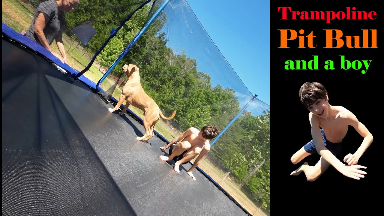 Trampoline: Temp Pool Replacement