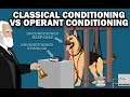 Learning and Conditioning Quiz