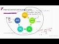 Planning - Part 5: understanding internal control continued