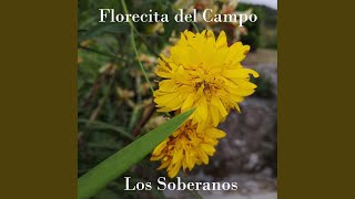 Video thumbnail of "Los Soberanos - Linda Borrachera"