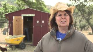 Kevin Fowler - "Chicken Lady" - KFTV Season 2 Episode 1