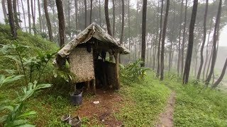 relaksasi dengan suara hujan di hutan rimbun