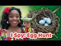 Egg Hunt Science: The Mystery of the Egg Surprise | Letter E Phonics & Biological Cycles