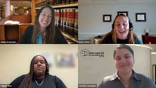 Emerging Voices Family LawCast, Volume 2