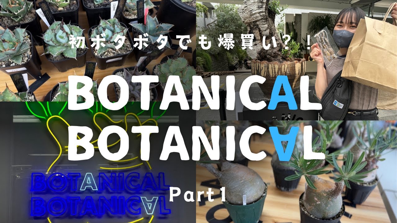 【大興奮？！】初見のビザールプランツがいっぱい！！ #BOTANICALBOTANICAL #塊根植物 #アガベ