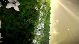 Flower Logo Reveal AE template