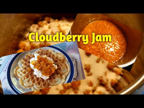 How to cook Cloudberry jam only two ingredients/hjortron sylt