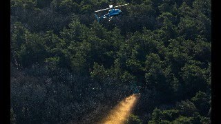 Enhanced Rock Weathering Rock Dust To Restore Acidified Forests - Robrecht Van Der Bauwhede