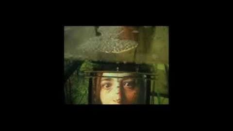 humanairsystem_2005_marck.flv