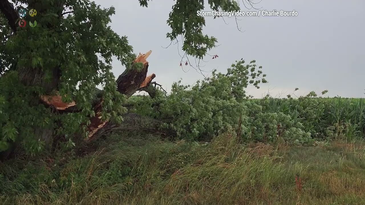 Southeastern Wisconsin severe squall line aftermath - 7/26/2023