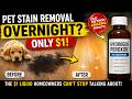 This $1 Liquid ERASES Pet Stains From Floors Overnight. No Scrubbing Needed