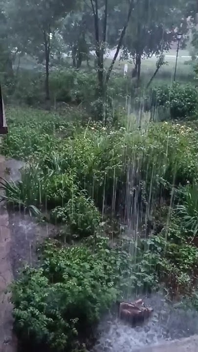 Тропический ливень 11 июня Подмосковье заливает #дождь #ливень - YouTube