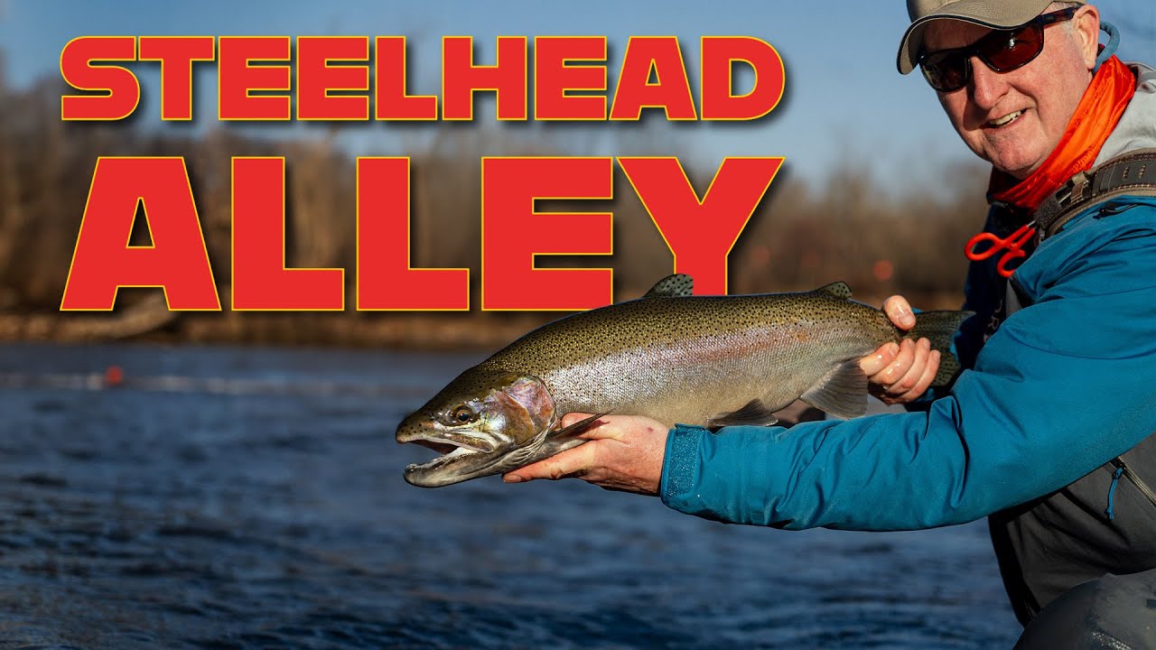 Steelhead Alley tributary in the early morning mist