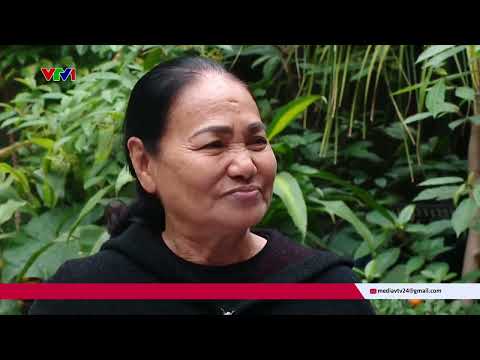 Giảm phí chuyển đổi đất: Không áp dụng đại trà | VTV24