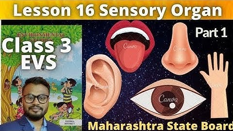 Lesson 16  Sensory Organs | Environmental Studies | Maharashtra State Board | part 1