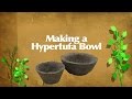 Making A Hypertufa Bowl: "At Urbans Greenhouse"