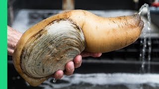Exotic CHINESE FOOD Feast in Guangzhou! $250 Snake, Geoduck Sashimi and Sea Cucumber!