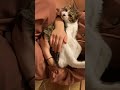 友達に抱っこしてもらったね