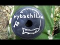 Ловля горбатой щуки на спиннинг ,  видео rybachil.ru