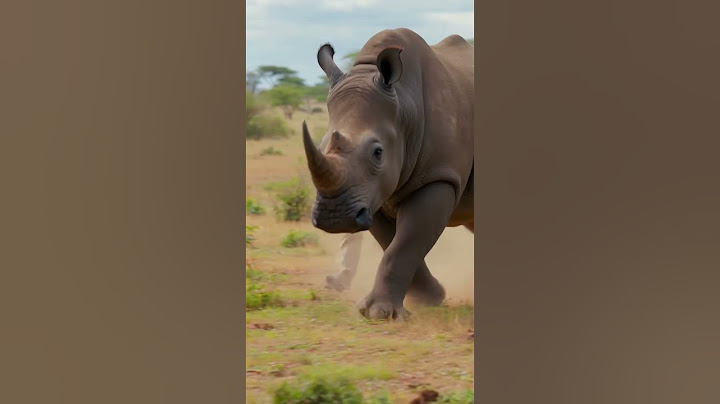 Hurry, your wife is about to give birth!#animalshorts