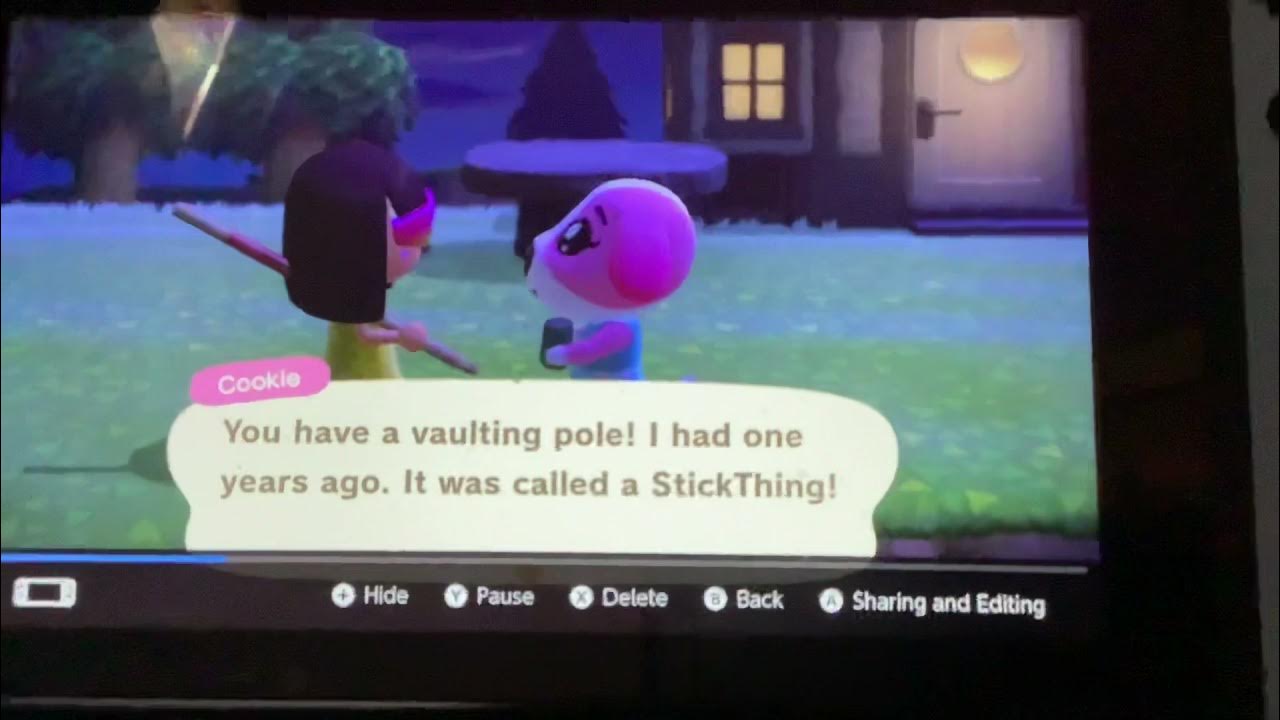 Animal crossing new horizons. vaulting stick dialogue 