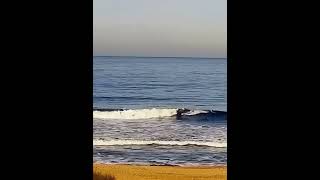 Surf en Bikini, Manantiales - Surfcam en vivo