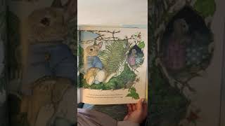 The Easter Egg by Jan BRett