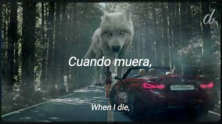 Down Like Silver- Wolves (Sub. Español// English Lyrics)