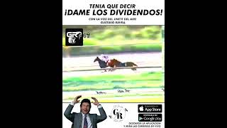 GUSTAVO RAVELL THE AIR RIDER | BY QUIXOTE | CAREER OF THE 90s screenshot 1