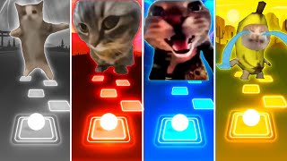 Happy Cat vs Chipi Chipi Chapa Chapa Cat vs Doorbell Cat vs Banana Cat - Tiles Hop EDM Rush