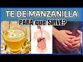 TE DE MANZANILLA POR LA NOCHE ¿Para Qué Sirve? BENEFICIOS DE LA MANZANILLA PARA SALUD Y BELLEZA