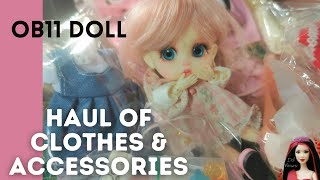 HAUL OF CLOTHES & ACCESSORIES FOR OB11 Artist Doll Unboxing. Obitsu 11 BJD from Aliexpress