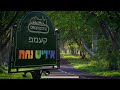 Yiddish nachas goes to camp for dror  bunei   